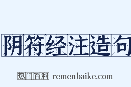 阴符经注造句是什么意思的图片